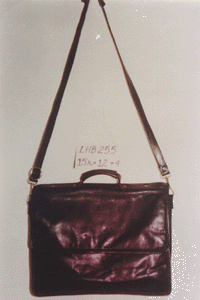 Ladies Handbag (LHB-255)